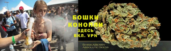 стафф Горнозаводск